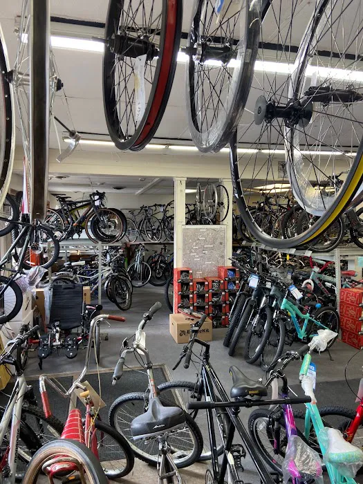 Renaissance Cyclery Picture 6