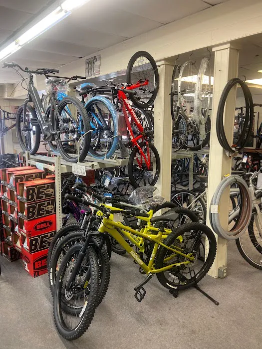 Renaissance Cyclery Picture 4