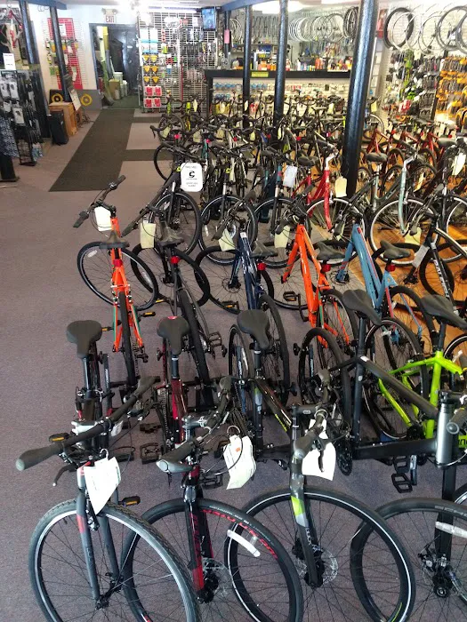Central Wheel Bicycle Shop Picture 1