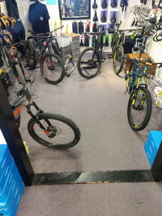 Central Wheel Bicycle Shop Picture 4