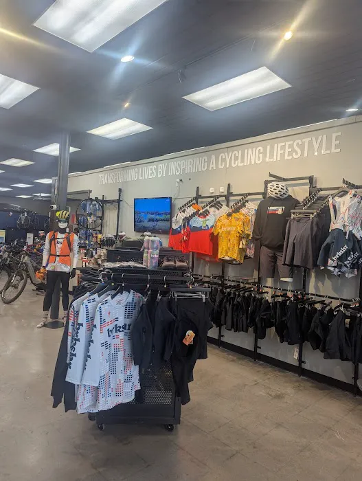 Berkshire Bike and Board Bloomfield Picture 1