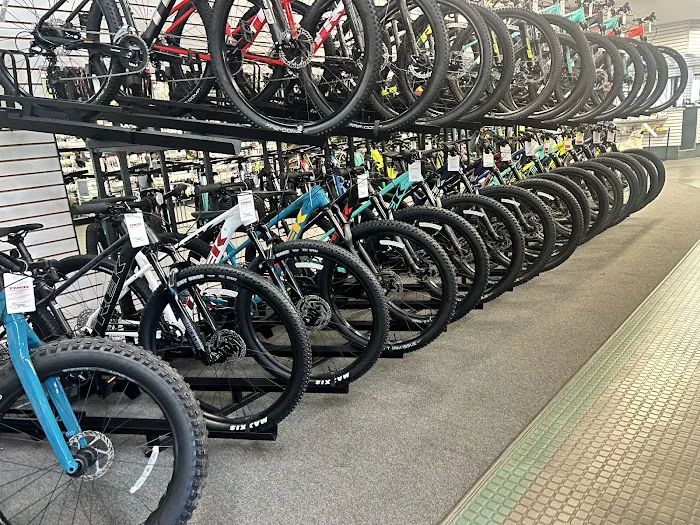Trek Bicycle Newington Picture 6