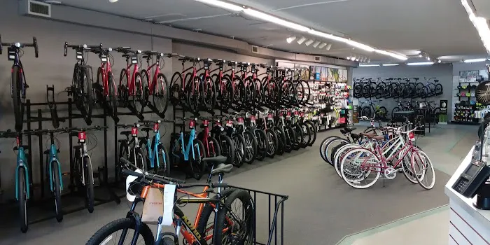 Trek Bicycle Newington Picture 7