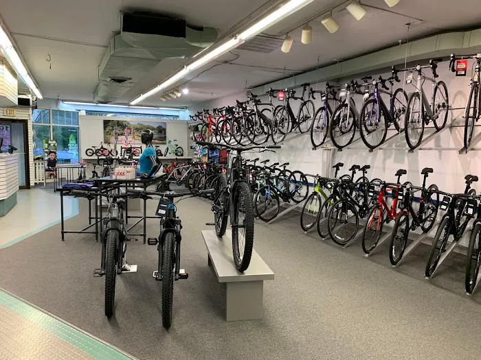 Trek Bicycle Newington Picture 9