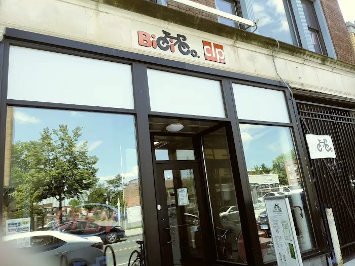 BiCi Co. Picture 2
