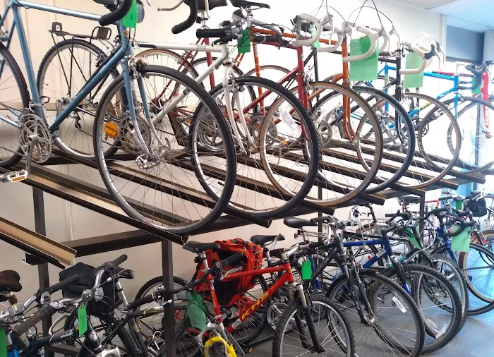 BiCi Co. Picture 1