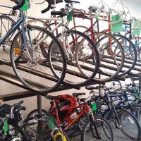 BiCi Co. ico