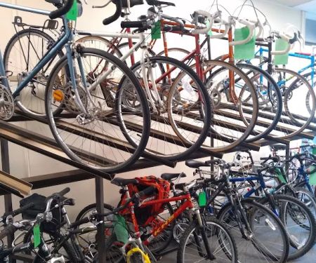 BiCi Co.