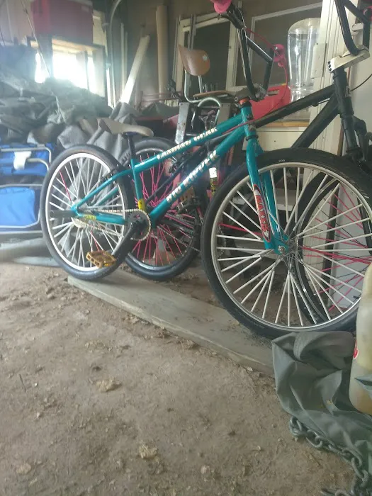 BiCi Co. Picture 3