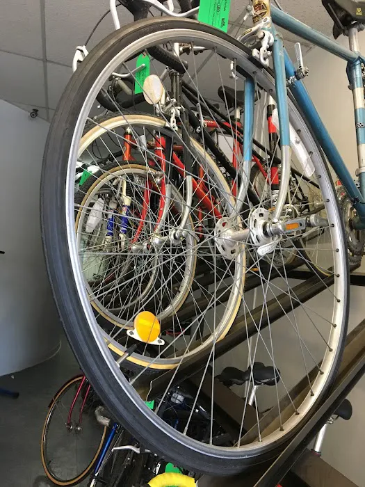 BiCi Co. Picture 5