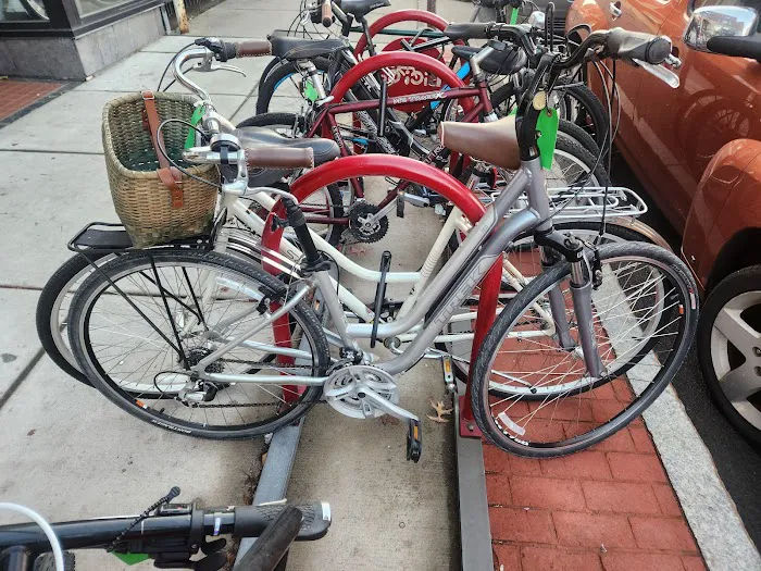 BiCi Co. Picture 6