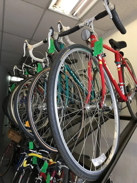 BiCi Co. Picture 8