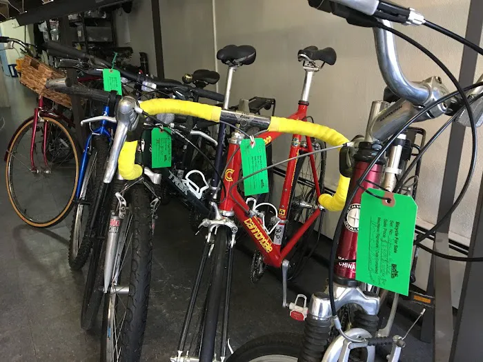 BiCi Co. Picture 10