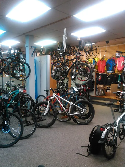 New Horizons Bikes Picture 9