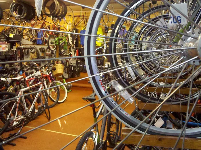 New Horizons Bikes Picture 6