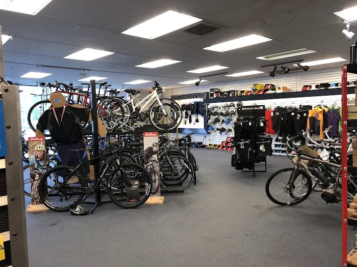 CK Cycles Picture 4