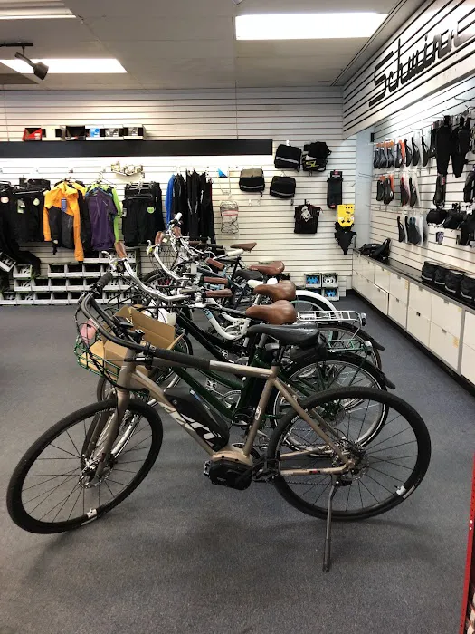CK Cycles Picture 5