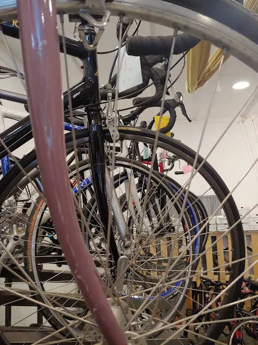 Troy Bike Rescue Downtown Picture 5