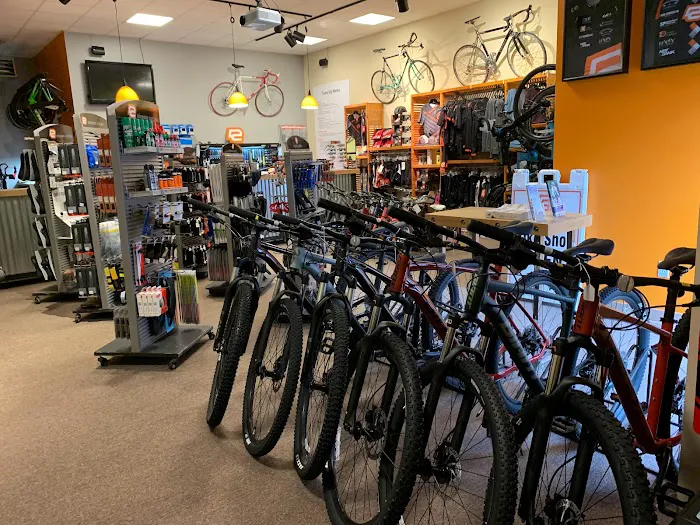 Elevate Cycles Picture 3