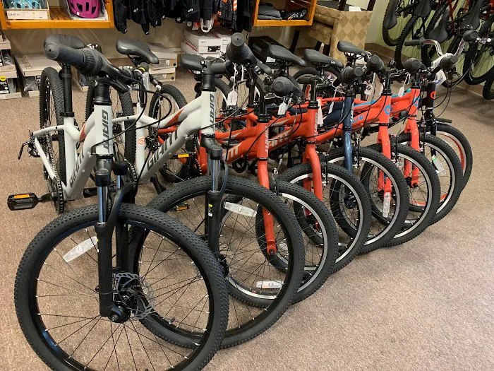 Elevate Cycles Picture 4