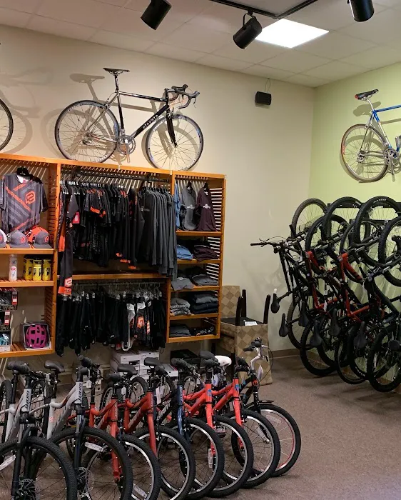Elevate Cycles Picture 6