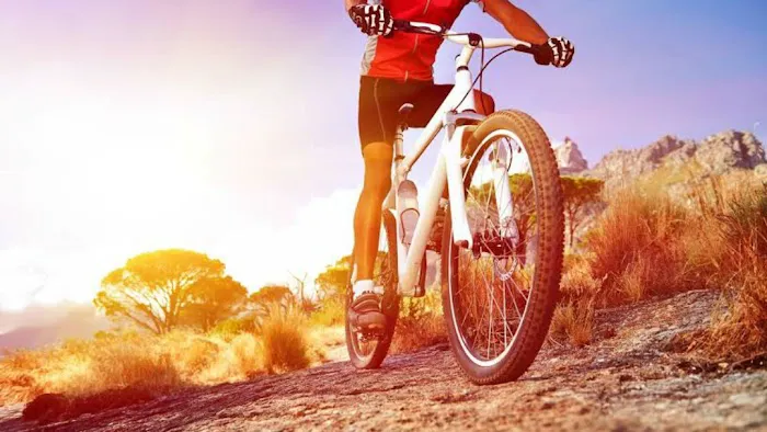 Tomhannock Bicycles Picture 3