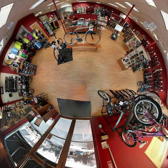 Bicycles East Picture 1