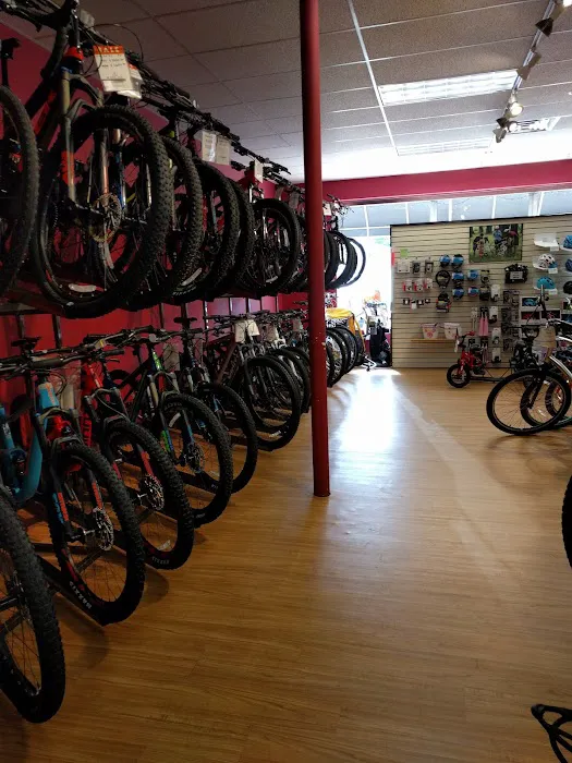 Bicycles East Picture 9