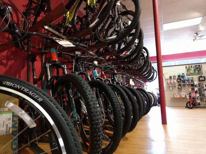 Bicycles East Picture 10