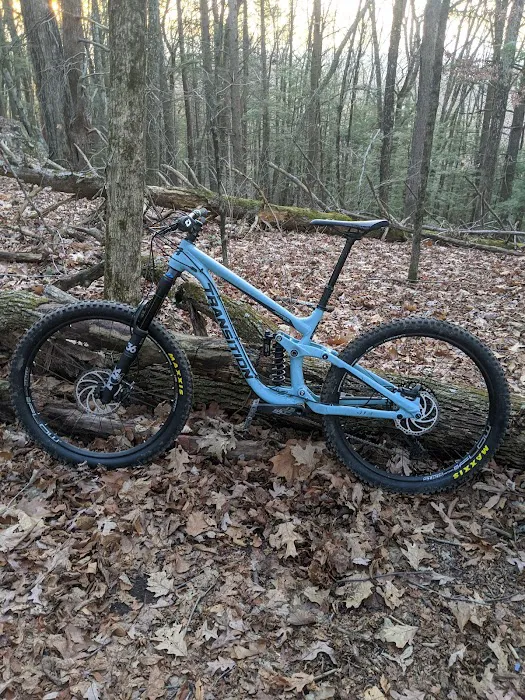 CFMcycles LLC Picture 3