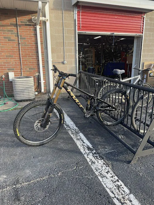 Family Bike & Sports Picture 2