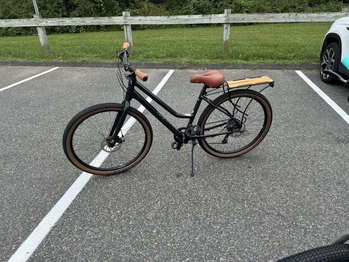 Family Bike & Sports Picture 6