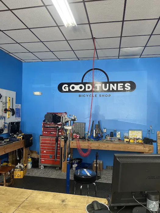 Good Tunes Bicycle Shop Picture 4
