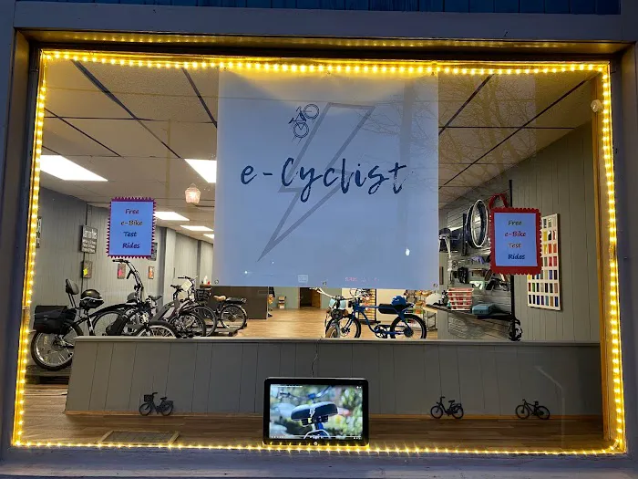 e-Cyclist Picture 1