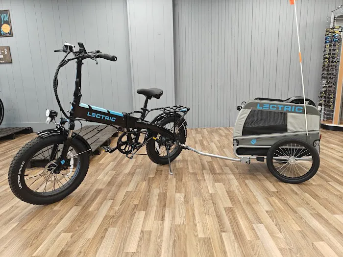 e-Cyclist Picture 4