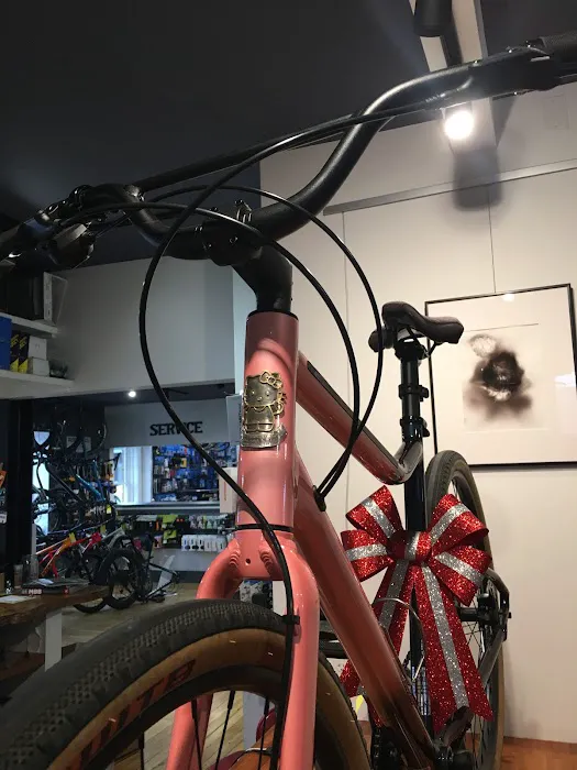 Northampton Bicycle Picture 2