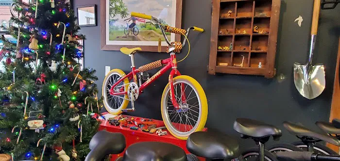 Full Circle Bike Shop Picture 2