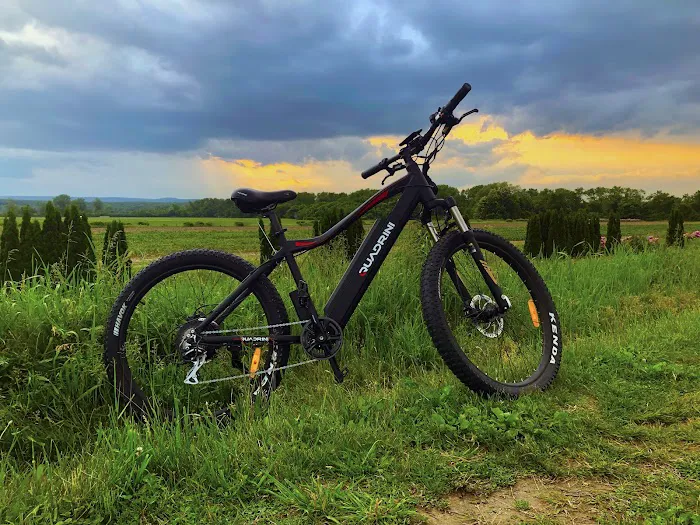 Quadrini USA Electric Bikes Picture 4