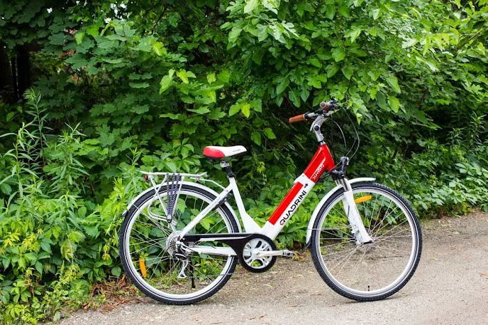 Quadrini USA Electric Bikes Picture 6
