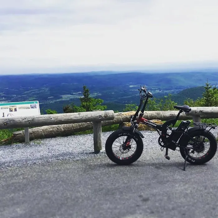 Quadrini USA Electric Bikes Picture 5