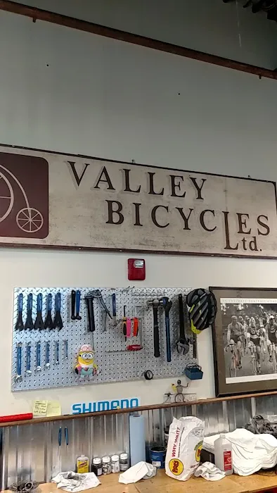 Valley Bike and Ski Werks Picture 2