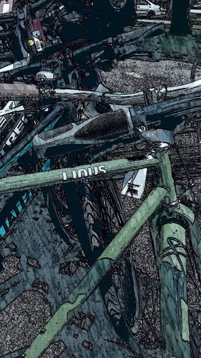 Rotations Bicycle Center Picture 10