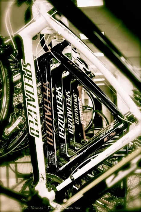 The Bike Shop Picture 2