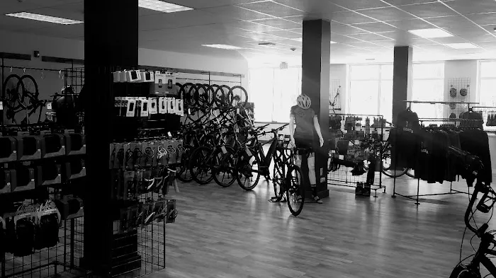 Grey Ghost Bicycles Saratoga Picture 3