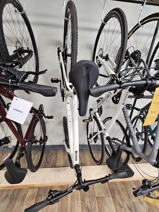 Grey Ghost Bicycles Saratoga Picture 4