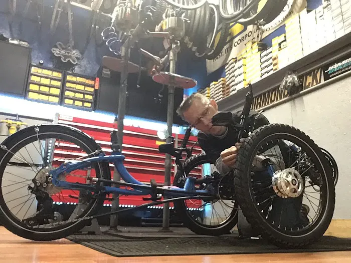 S&H bicycle store. Picture 4