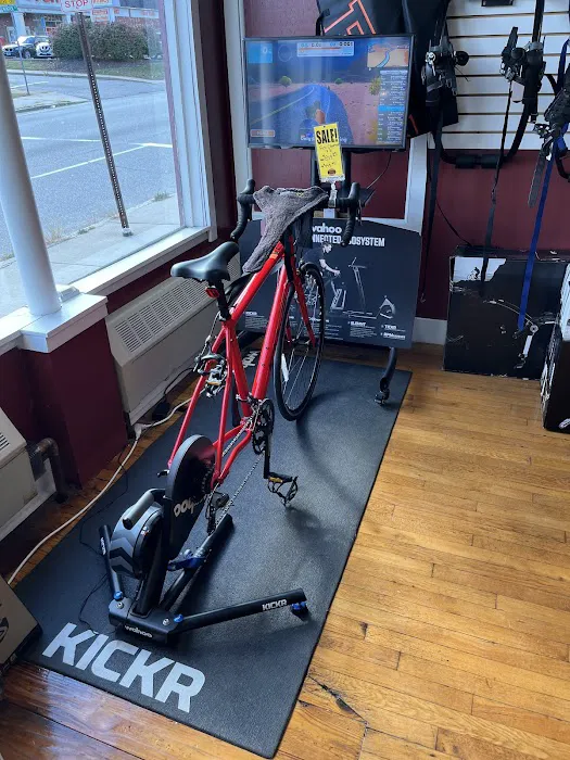 Pedal Power Picture 3