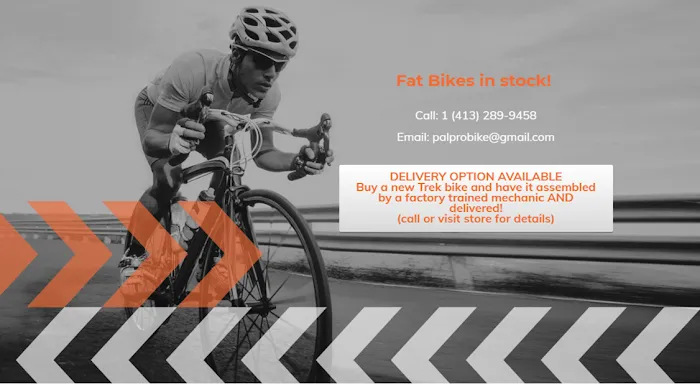 Palmer Pro Bike Corp. Picture 8