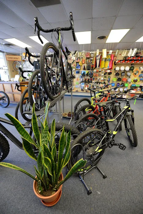 Hampshire Bicycle Exchange Picture 2