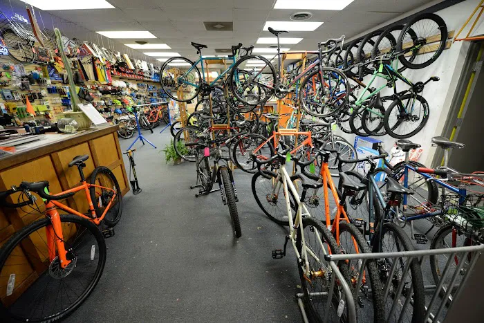 Hampshire Bicycle Exchange Picture 7